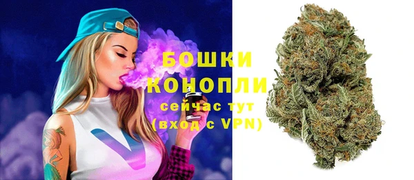индика Лиски