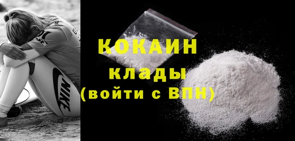индика Лиски